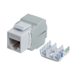 FRUTTO KEYSTONE RJ45 UTP CAT6 BIANCO