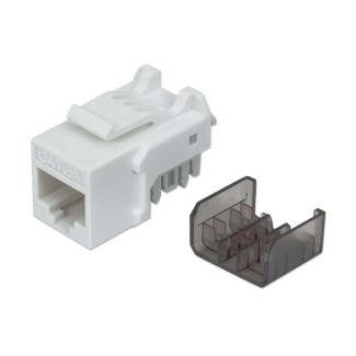 FRUTTO KEYSTONE RJ45 CAT6A UTP 10 GIGABI